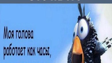 Photo of Убойный юмор для поднятия настроения