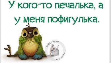 Photo of Смешные шутки на все случаи жизни