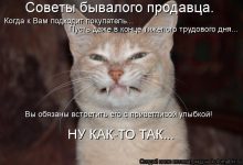 Photo of Какой юмор подходит вам