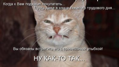 Photo of Какой юмор подходит вам