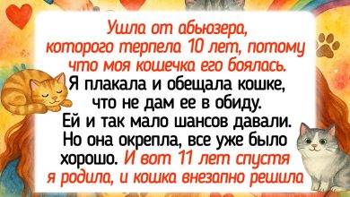 Photo of Смешные истории, которые заставят вас посмеяться