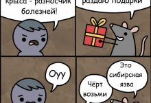 Photo of Шутки за 300: смех до слез