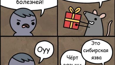 Photo of Шутки за 300: лучшие моменты