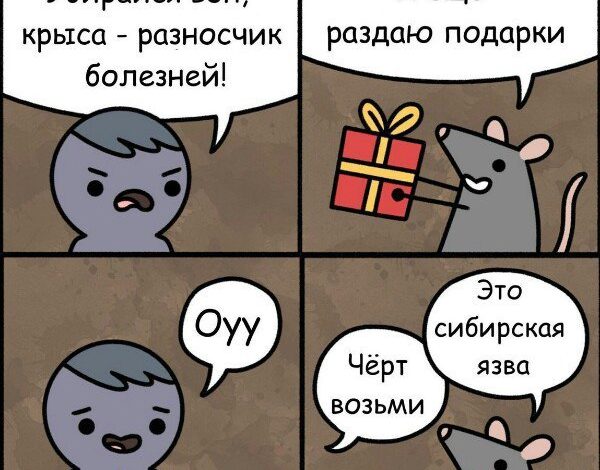 Photo of Шутки за 300: лучшие моменты