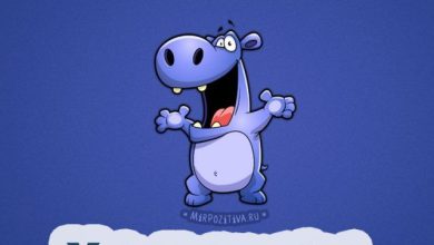 Photo of Забавные шутки для позитивного дня